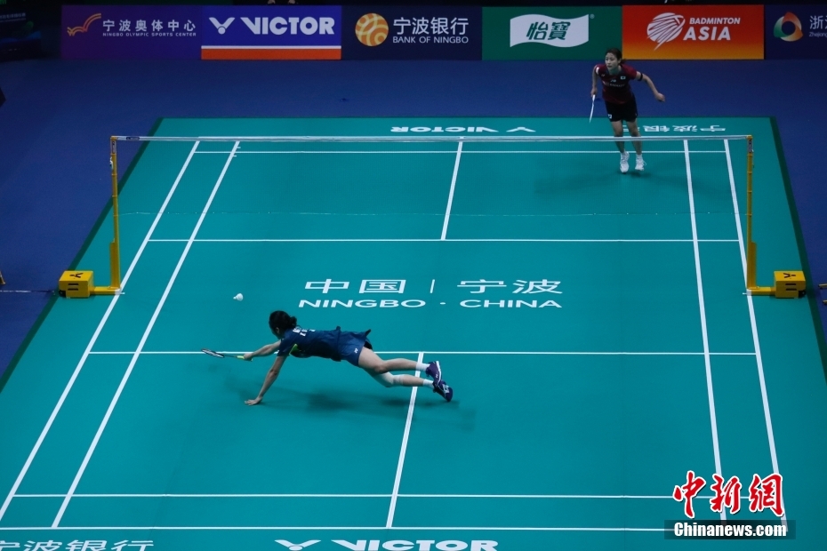 的忠实粉丝 的忠实粉丝